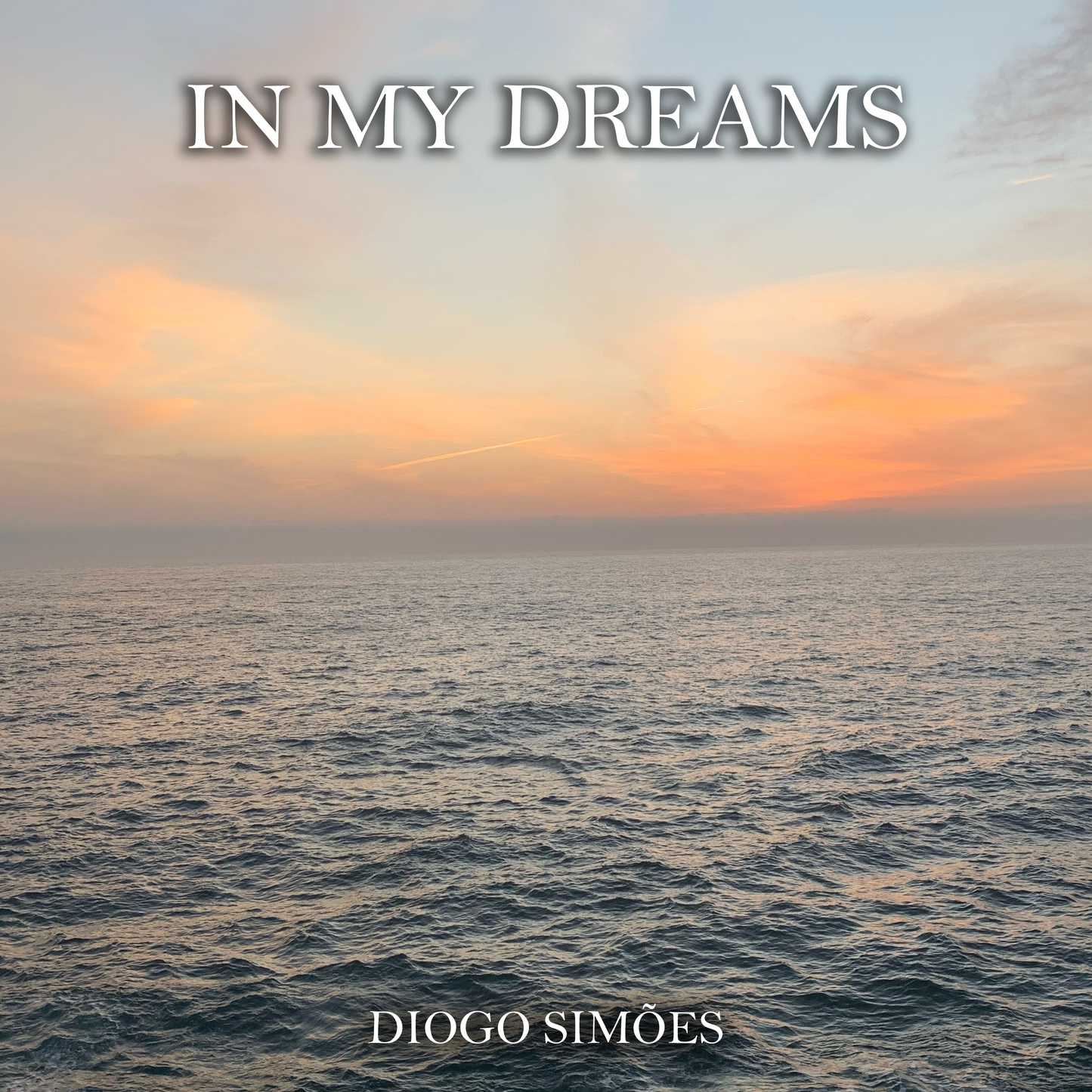 In my dreams | Licensing