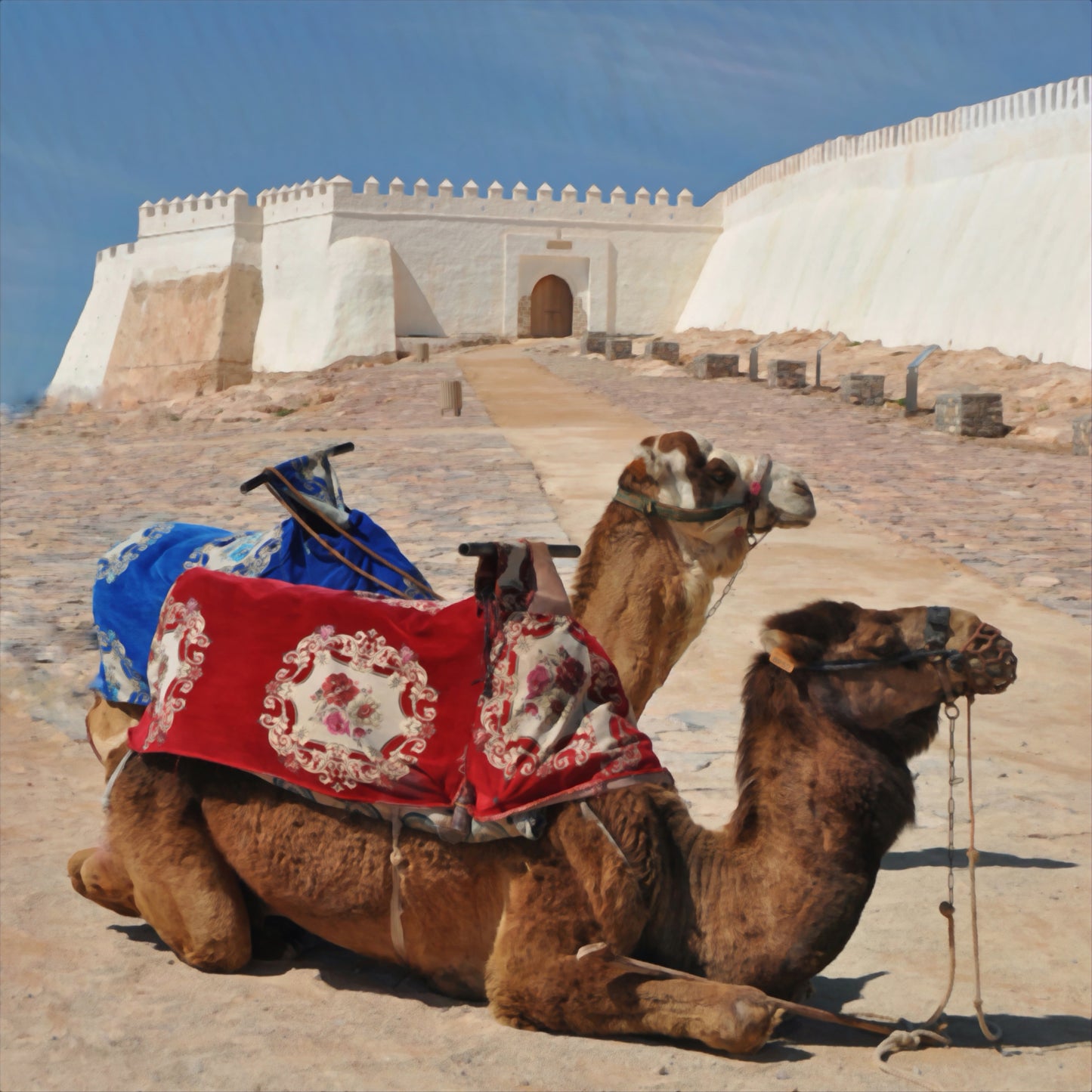 Desert Castle | Licensing